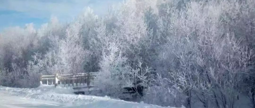 奕行記|奕路向北，駛向雪國(guó)阿爾山